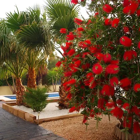 Brisa 6 Pax Holiday home